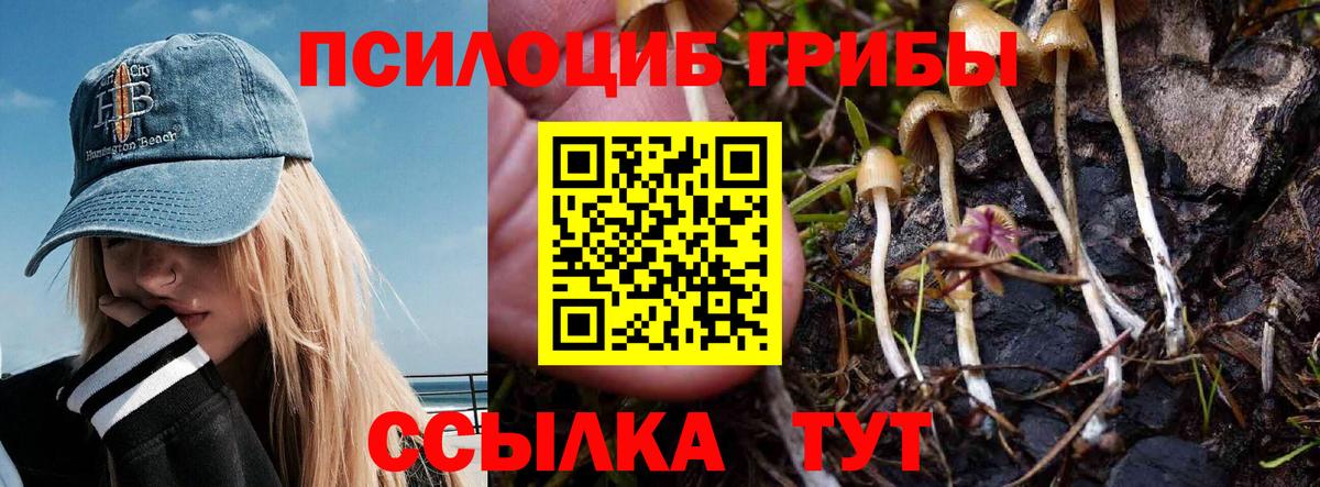 Псилоцибиновые грибы GOLDEN TEACHER Бийск