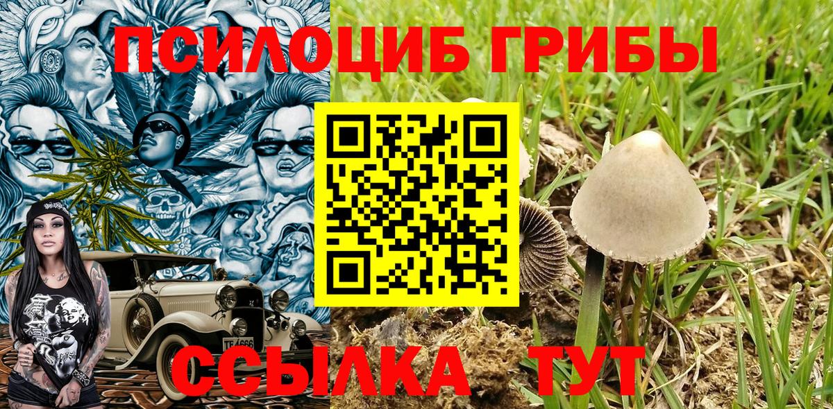 Бийск  Галлюциногенные грибы Psilocybine cubensis  Вход с VPN 